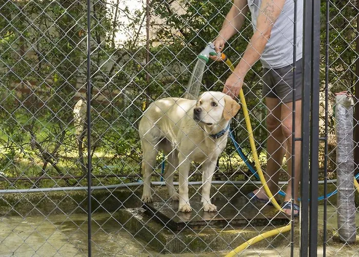 Apartmán In With Balcony, Air Conditioning, Wifi, Washing Machine 4928-10 Poreč