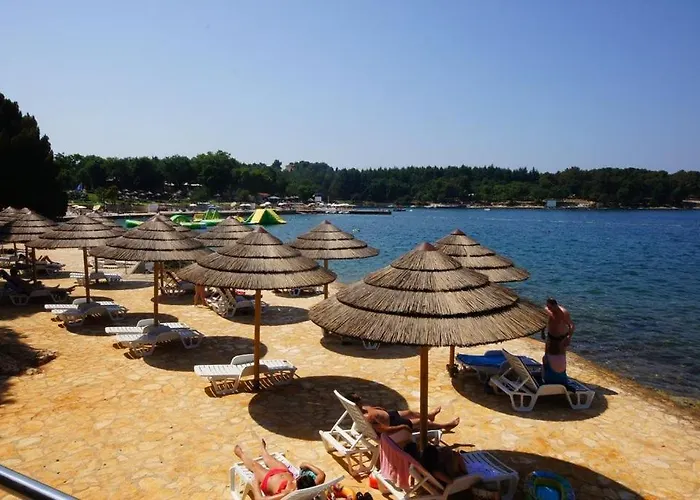 In With Balcony, Air Conditioning, Wifi, Washing Machine 4928-10 Apartmán Poreč