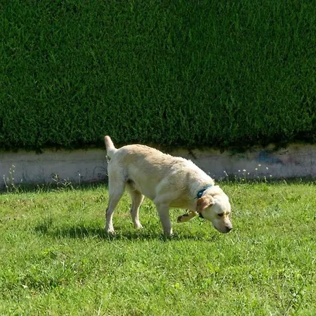 In With Balcony, Air Conditioning, Wifi, Washing Machine 4928-10 Διαμέρισμα *