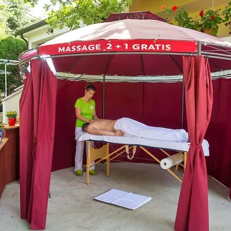 In With Balcony, Air Conditioning, Wifi, Washing Machine 4928-10 Apartment Poreč