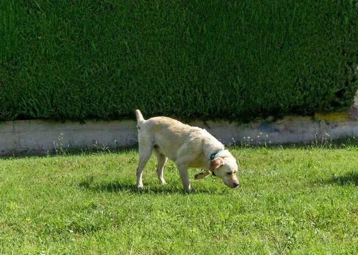 In With Balcony, Air Conditioning, Wifi, Washing Machine 4928-10 Lejlighed *