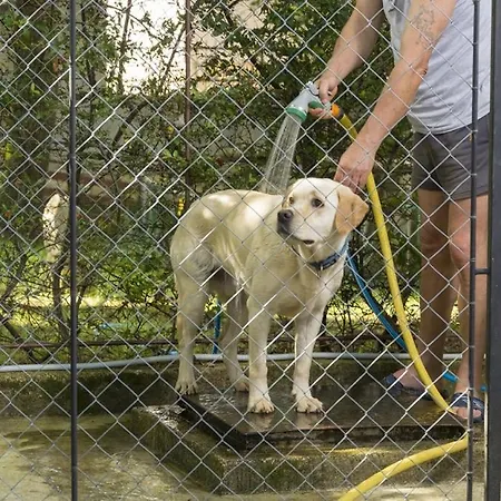 Apartament In With Balcony, Air Conditioning, Wifi, Washing Machine 4928-10 Poreč